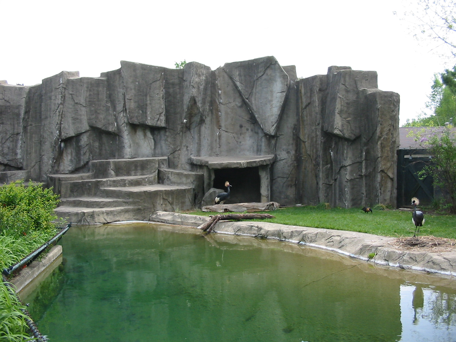 Potawatomi Zoo 2003 - Crowned Crane exhibit
