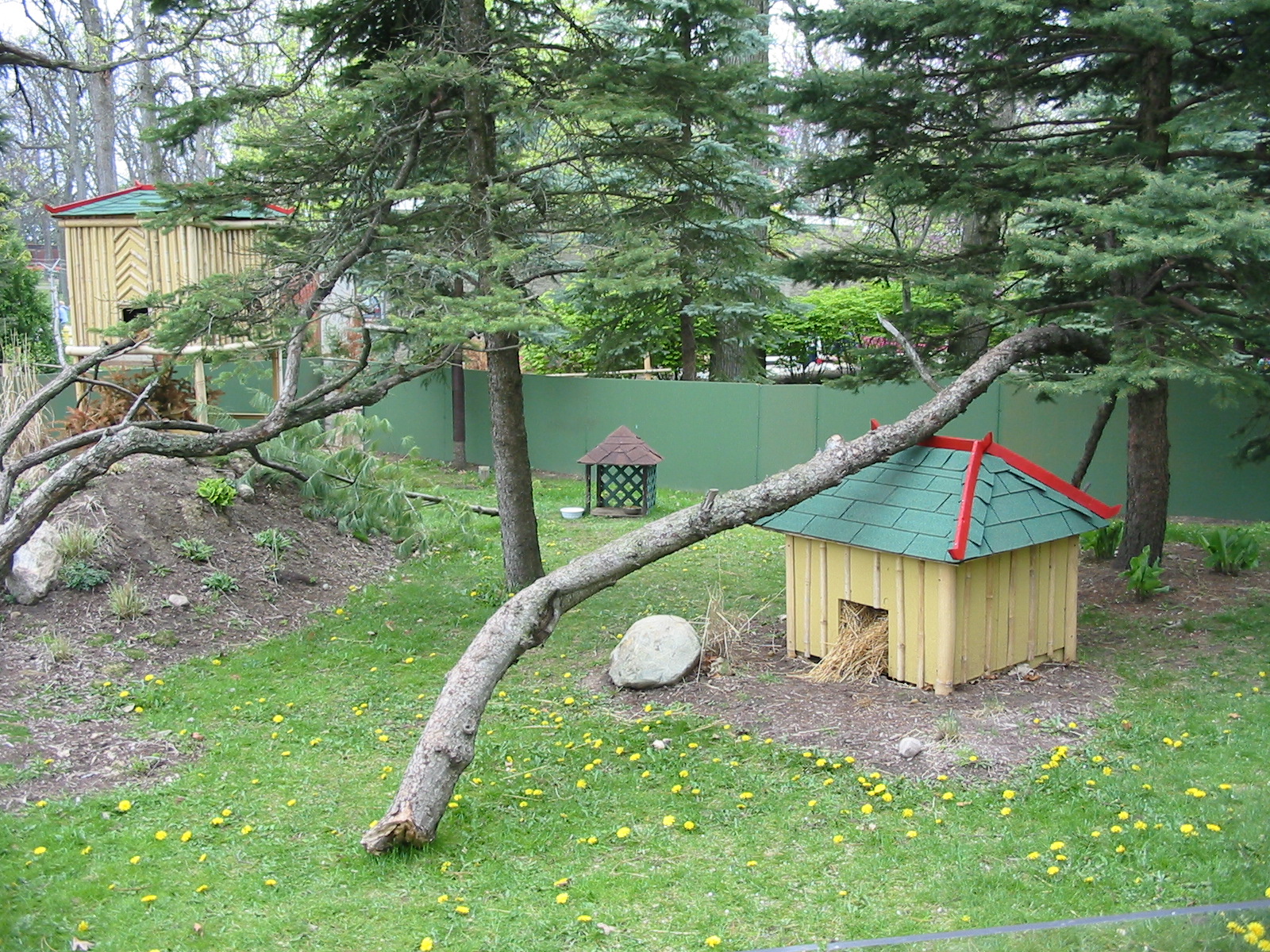 Potawatomi Zoo 2003 - Red Panda exhibit