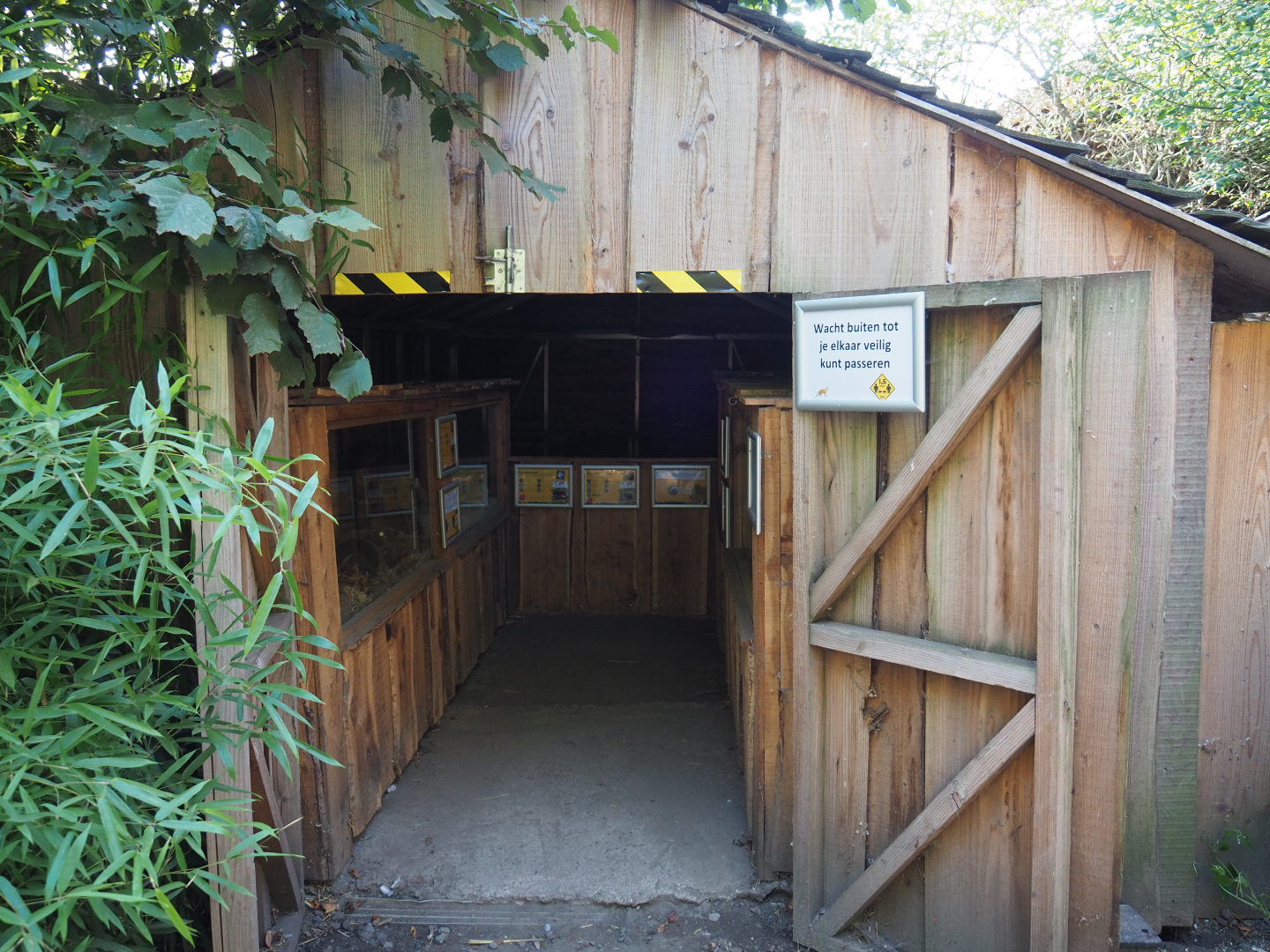 Potbelly pig, Fantail pigeon and Rodent barn, 2020-09-12