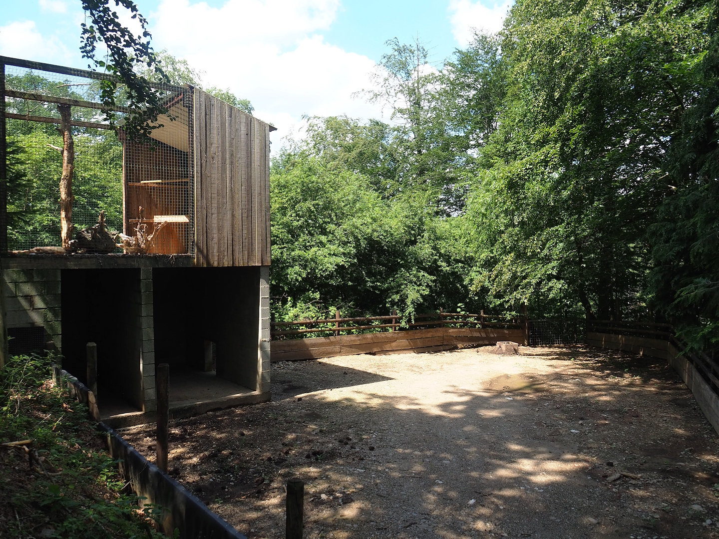 Potbelly pig paddock, with shelter underneath snowy owl aviary, 2023-06-24
