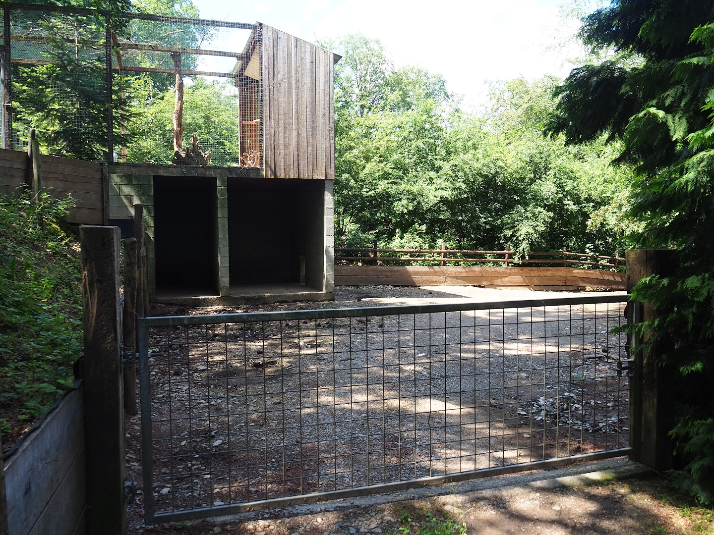Potbelly pig paddock, with shelter underneath snowy owl aviary, 2023-06-24