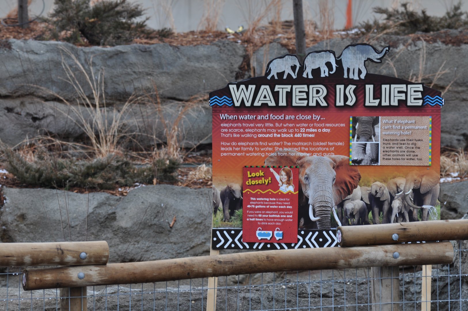 Potential Signage for Adventure Africa: Elephants
