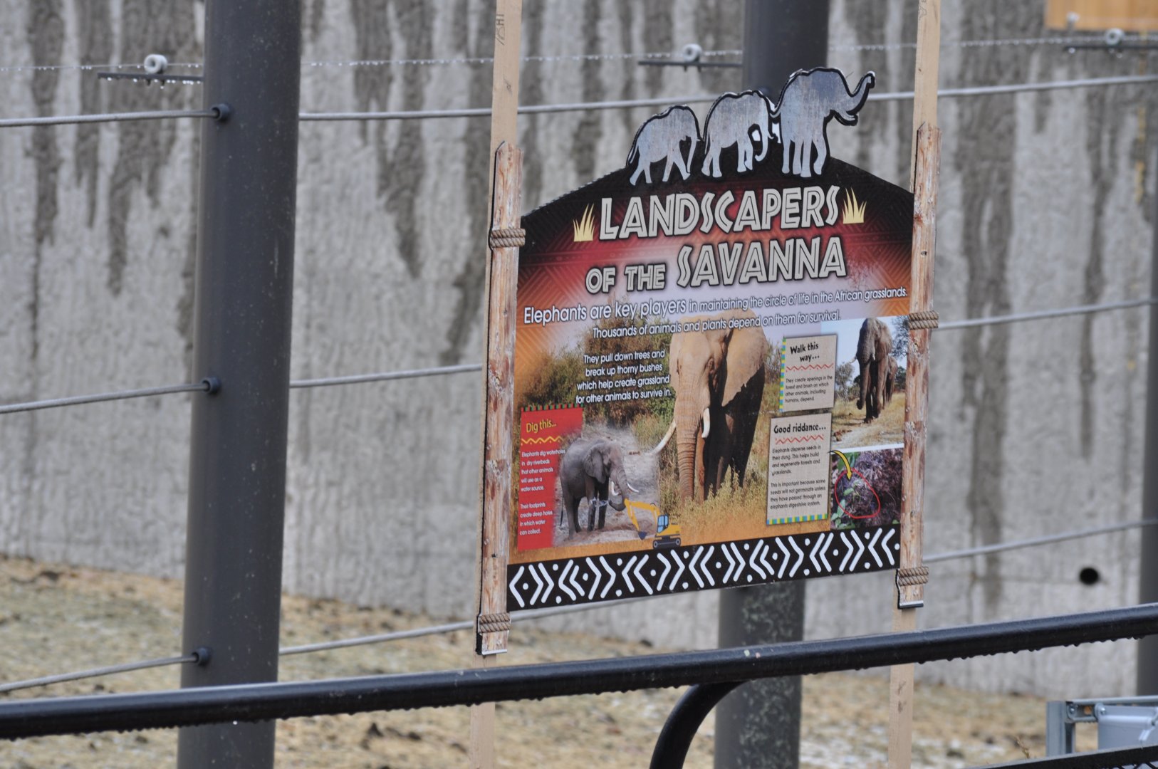Potential Signage for Adventure Africa: Elephants