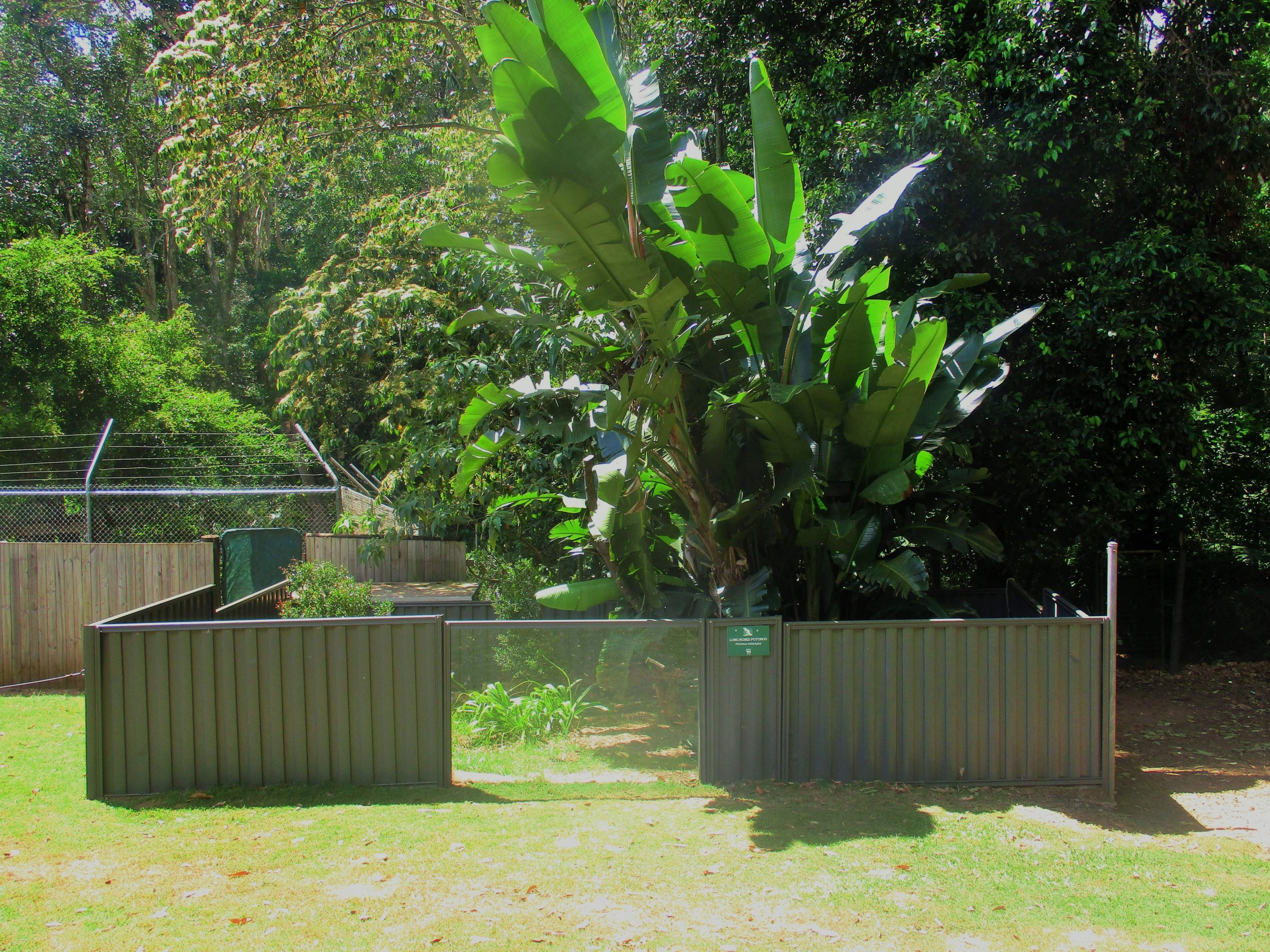 Potoroo Enclosure