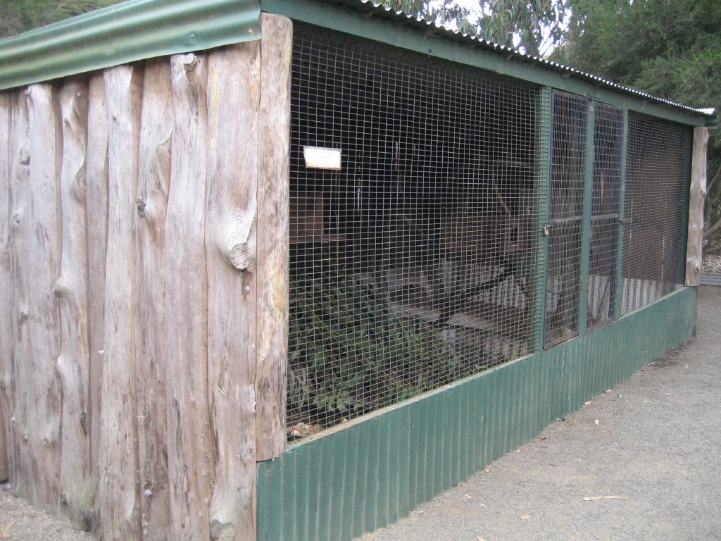 Potoroo enclosure