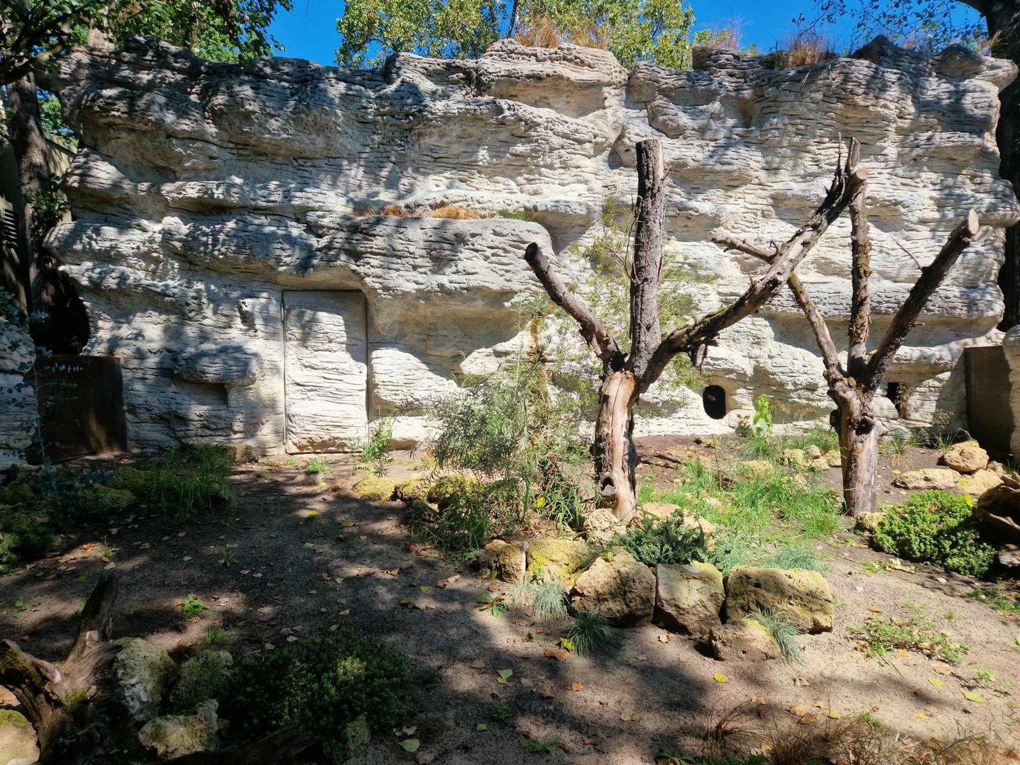 Pottoro exhibit, Terra Australis