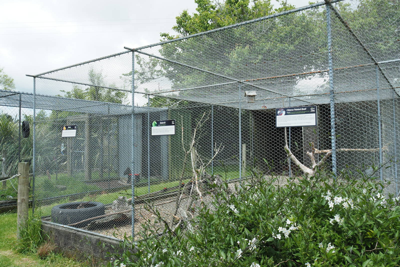 Pouakai Zoo - Aviaries