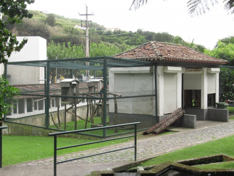Povoacao Zoo, Sao Miguel, Azores. Europes most westerly zoo?