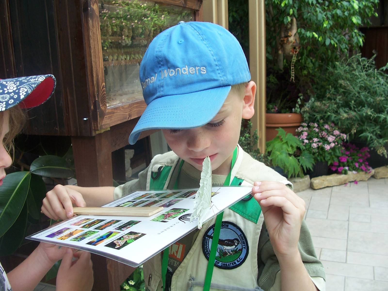 Powell Gardens Festival of Butterflies - Kingsville, Missouri