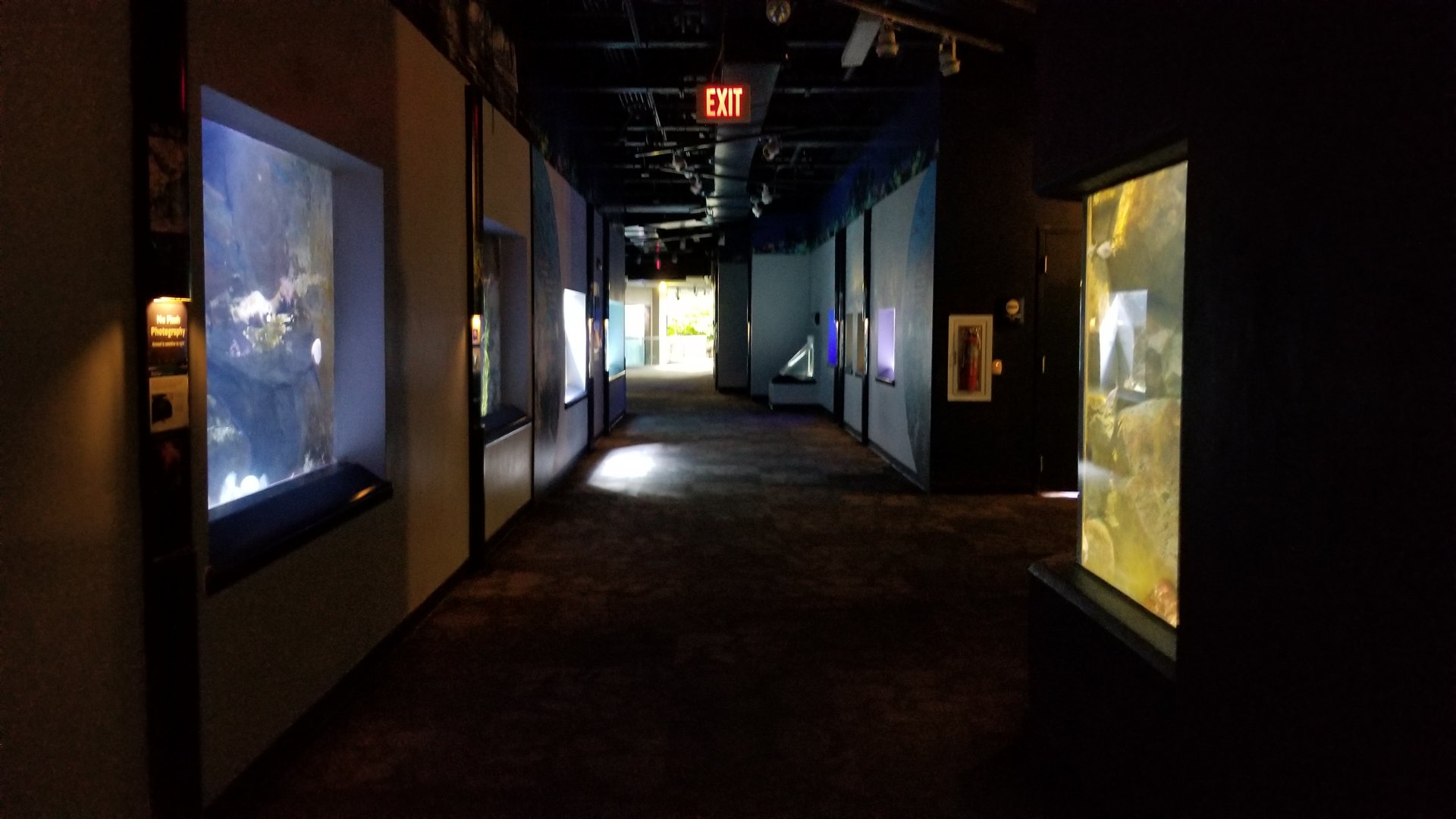 PPG Aquarium - 2nd hallway