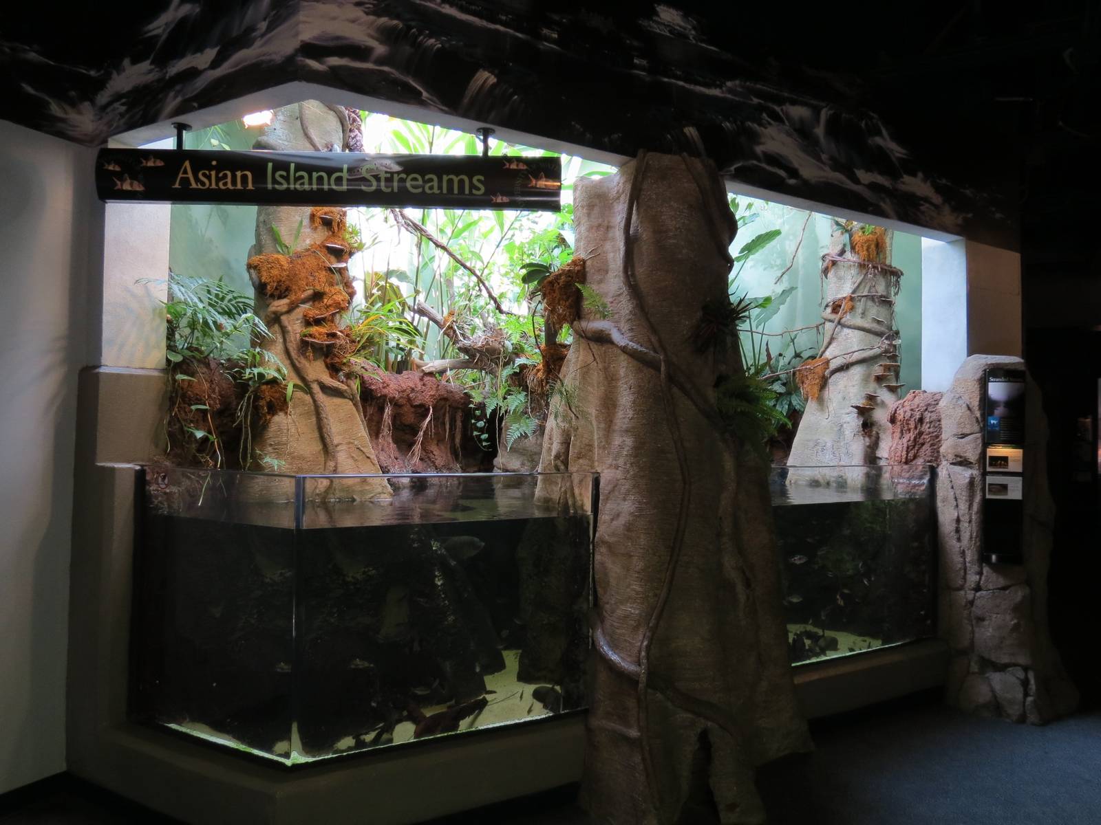 PPG Aquarium - A Freshwater Fortune - Asian Island Streams Exhibit