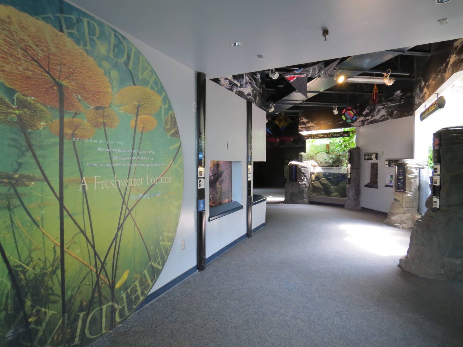 PPG Aquarium - A Freshwater Fortune - Entry