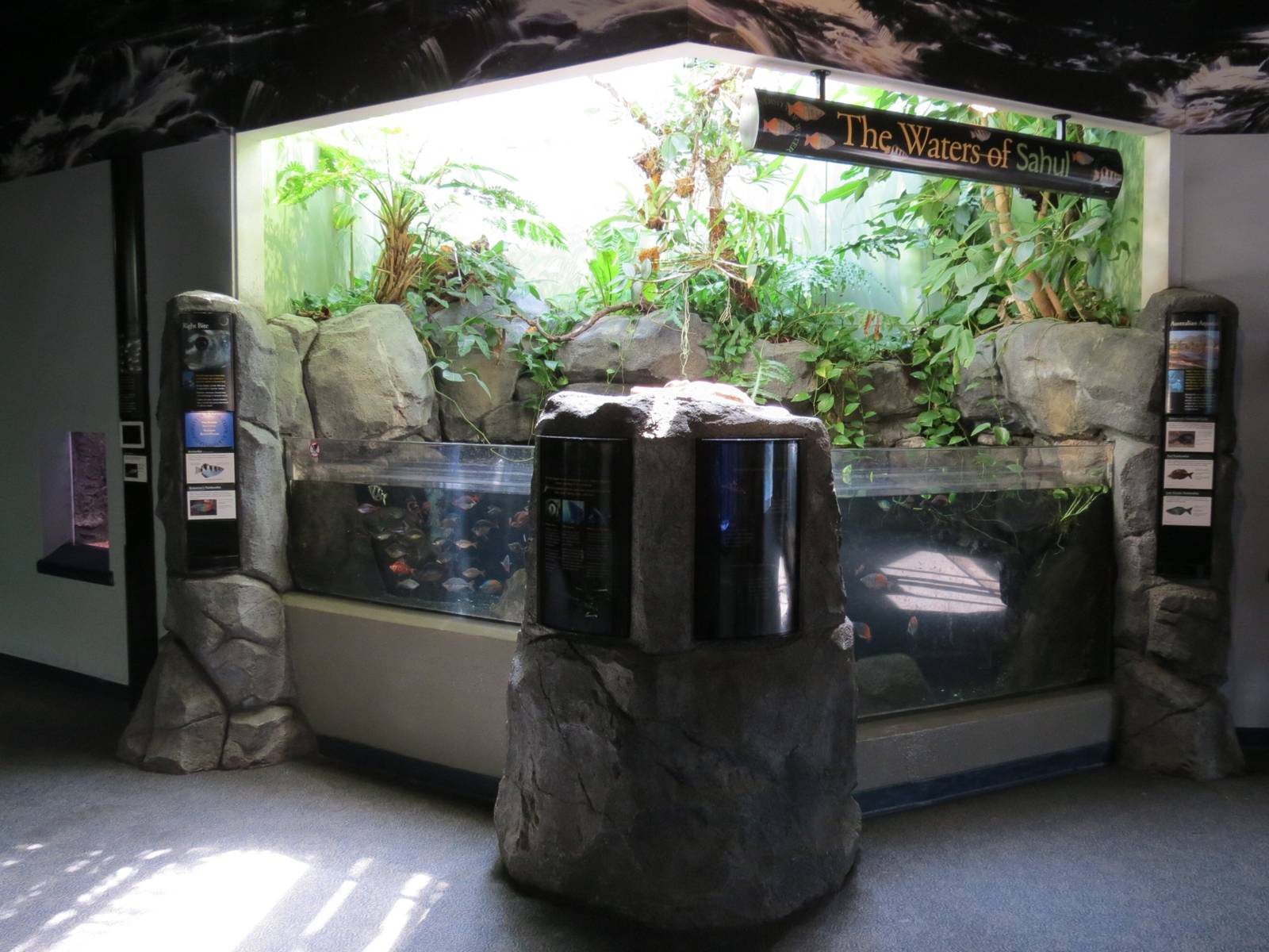 PPG Aquarium -  A Freshwater Fortune - The Waters of Sahul Exhibit