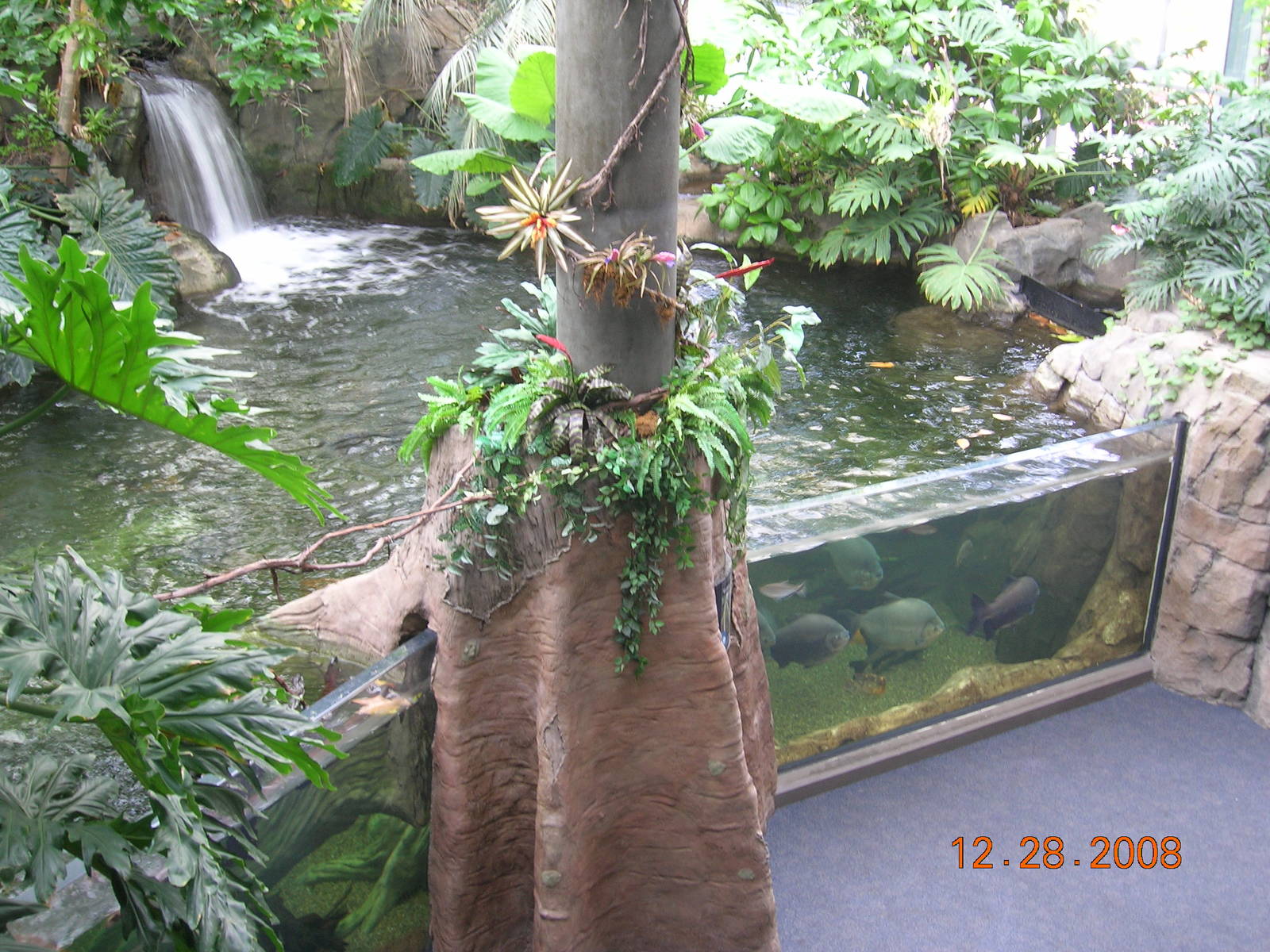 PPG Aquarium - Amazon River Exhibit