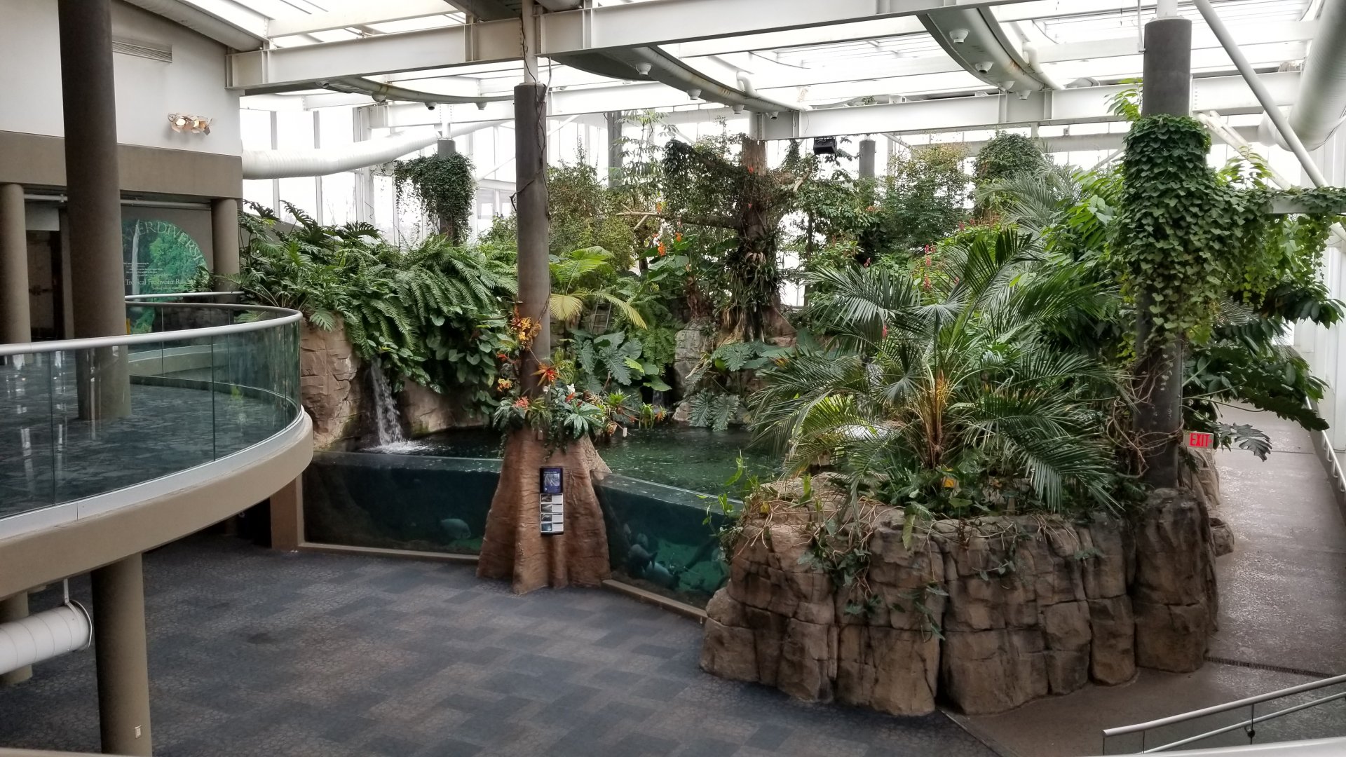 PPG Aquarium - Amazon tank