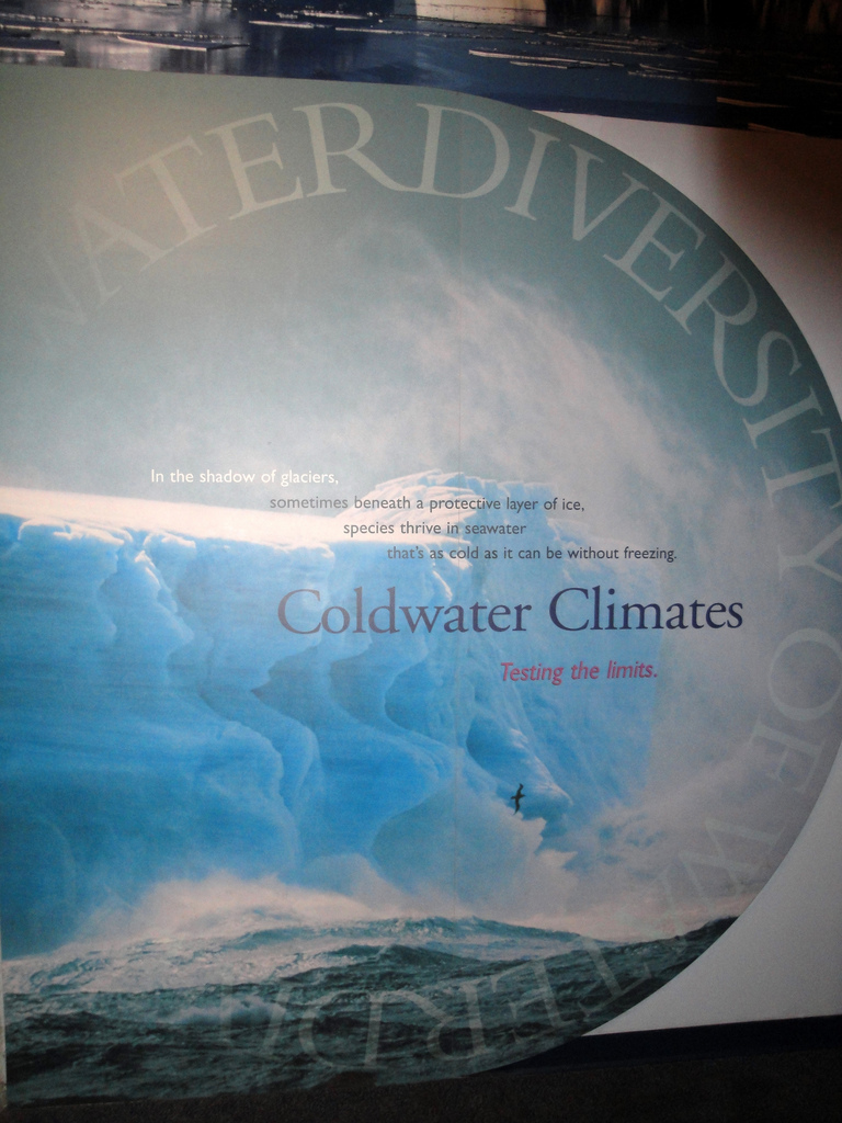 PPG Aquarium - Coldwater Climates Sign
