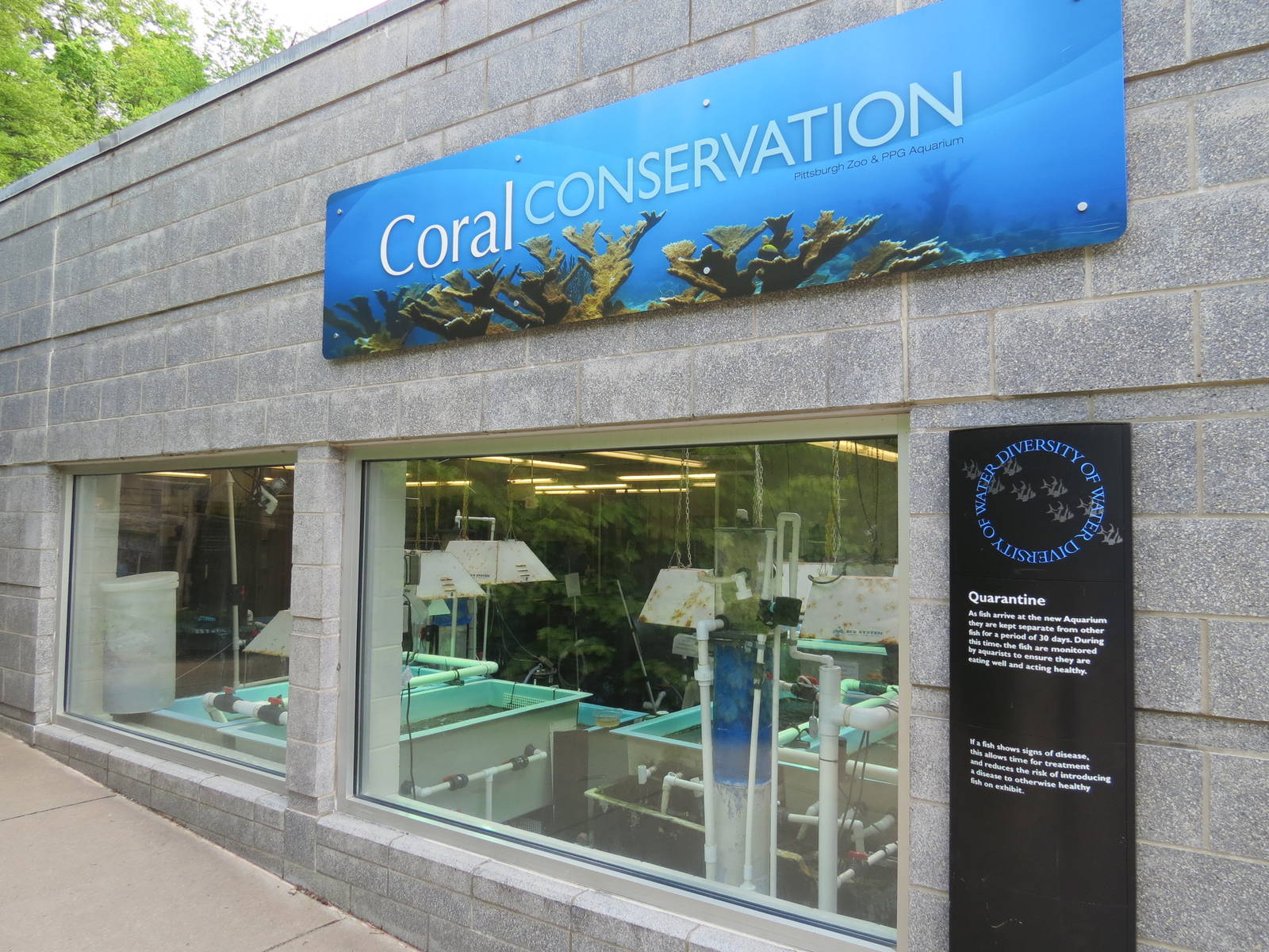 PPG Aquarium - Coral Conservation Exhibit