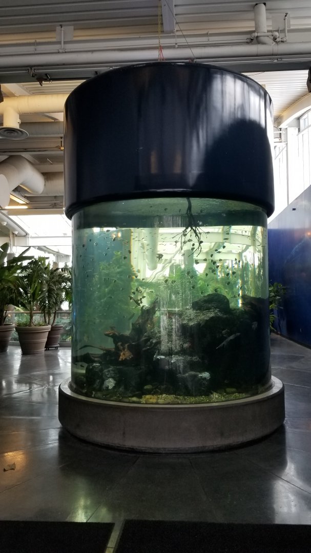 PPG Aquarium - entry tank