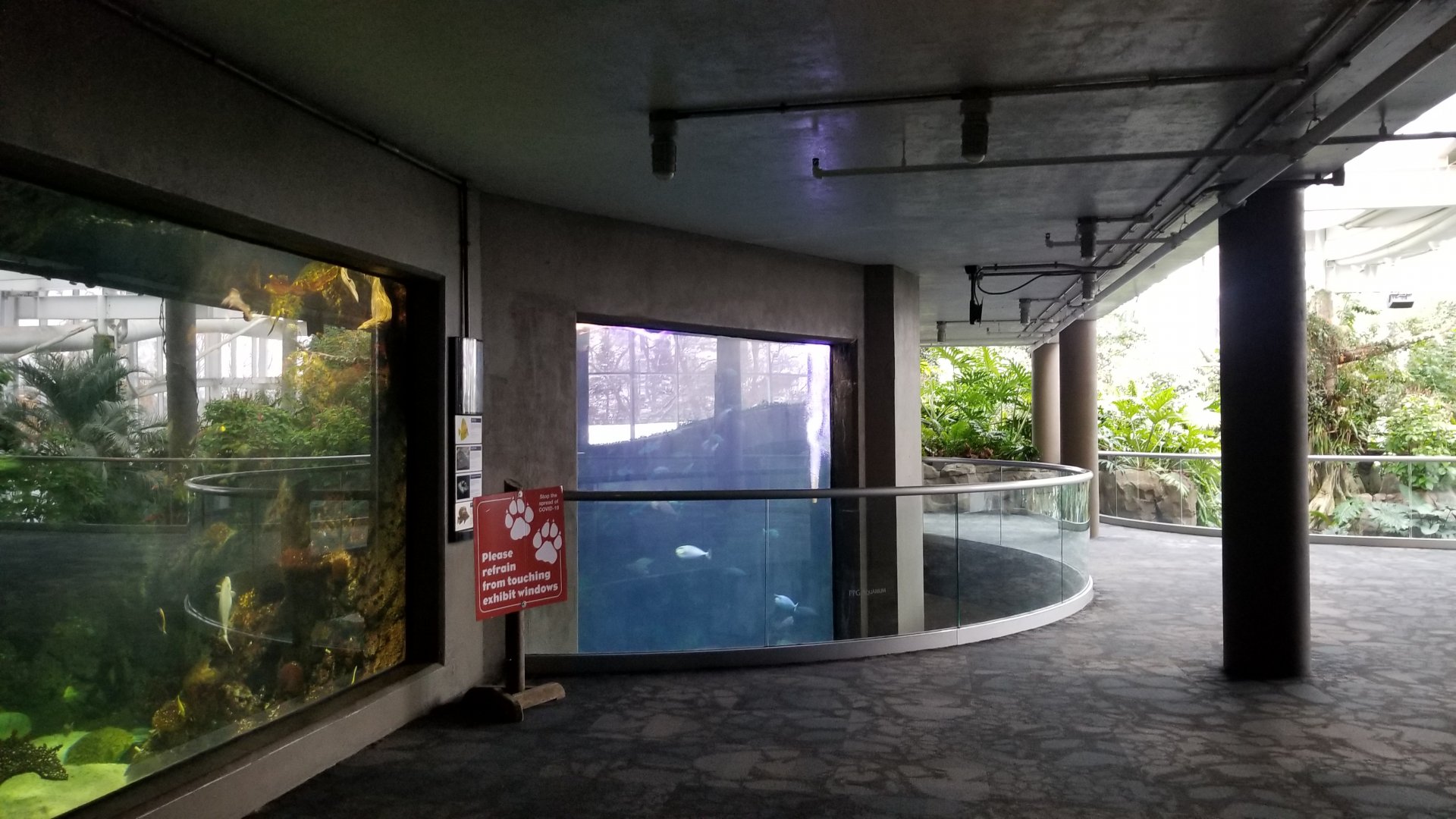 PPG Aquarium - first view of shark tank
