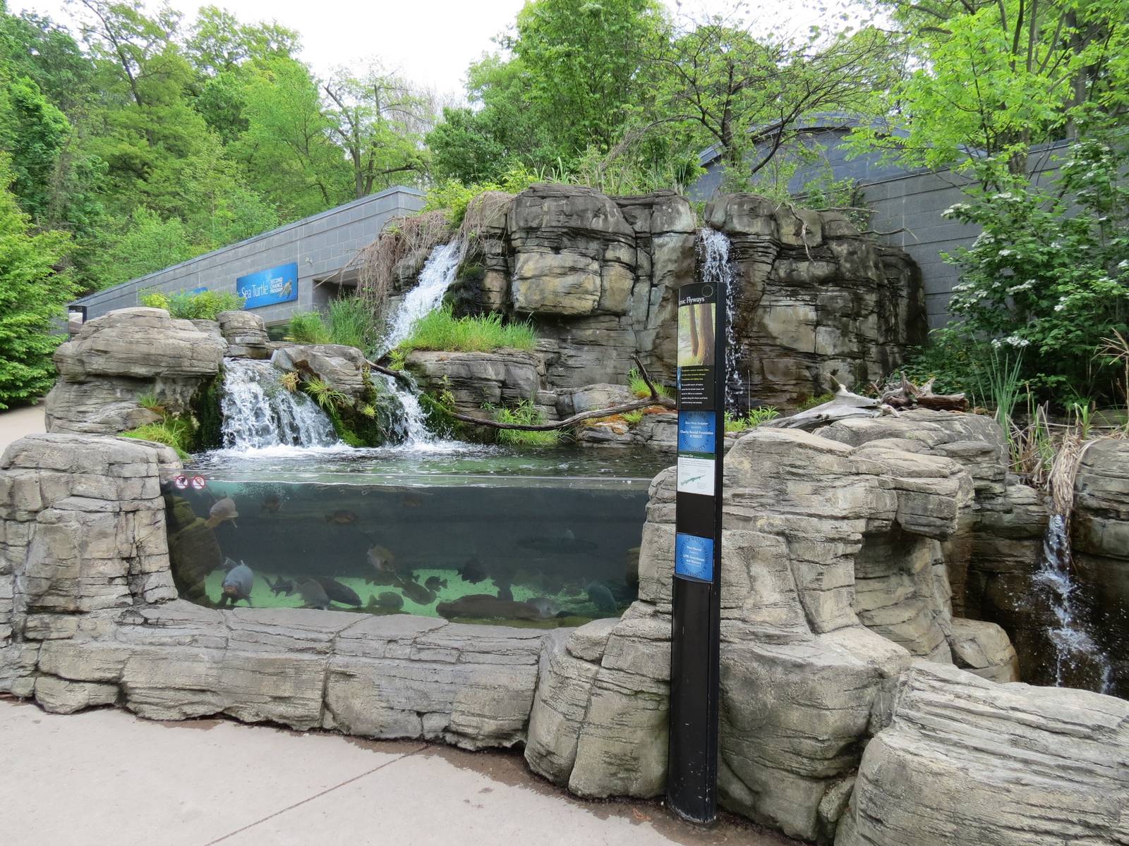PPG Aquarium - Longnose Gar Exhibit
