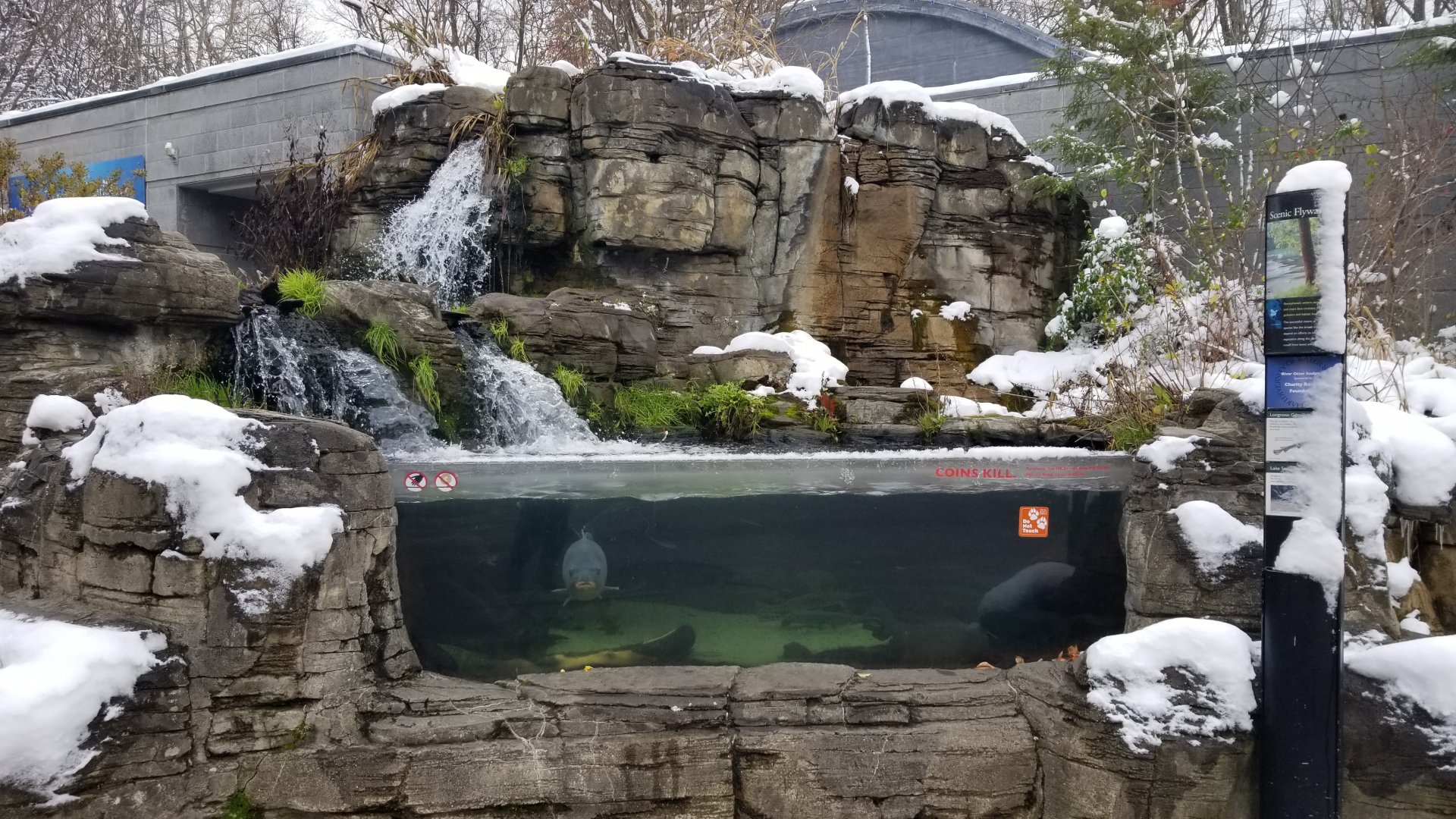 PPG Aquarium - outside tank