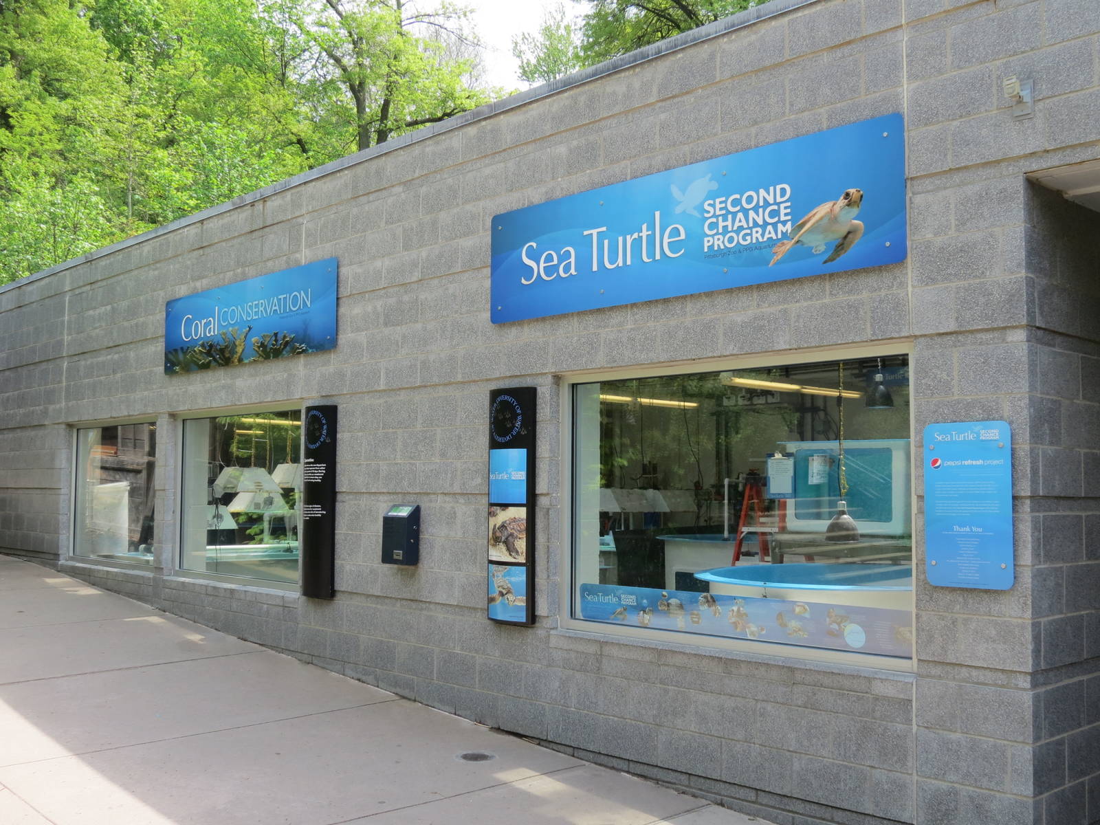 PPG Aquarium - Sea Turtle Rehabilitation Exhibit