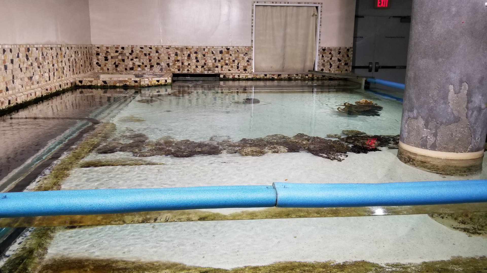 PPG Aquarium - shallow tank