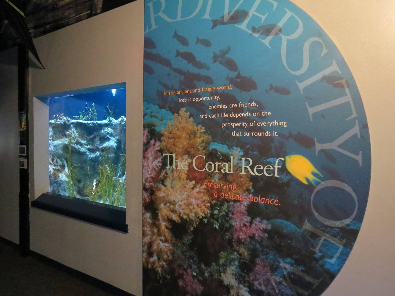 PPG Aquarium - The Coral Reef - Entry Sign