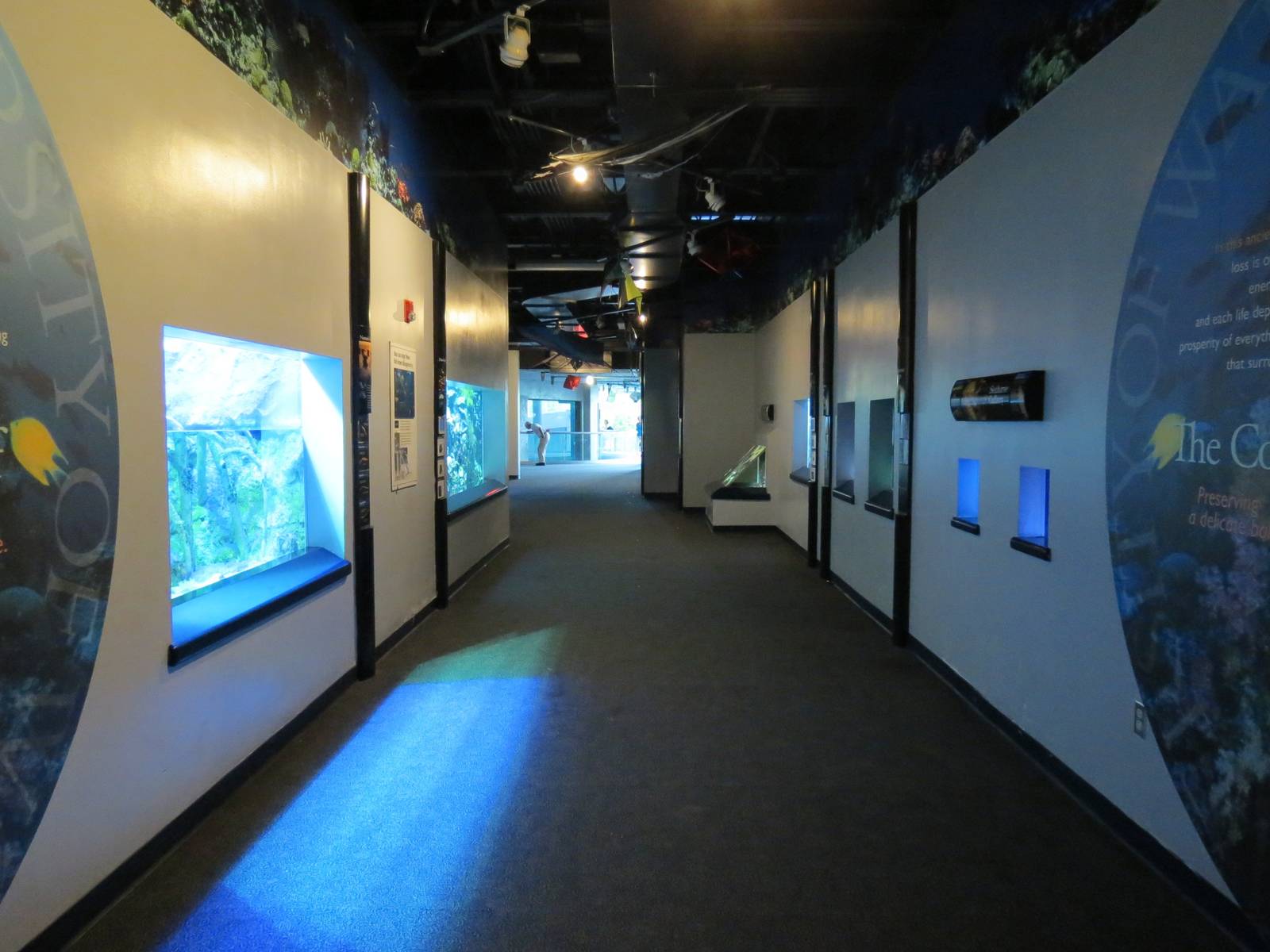 PPG Aquarium - The Coral Reef - Entry