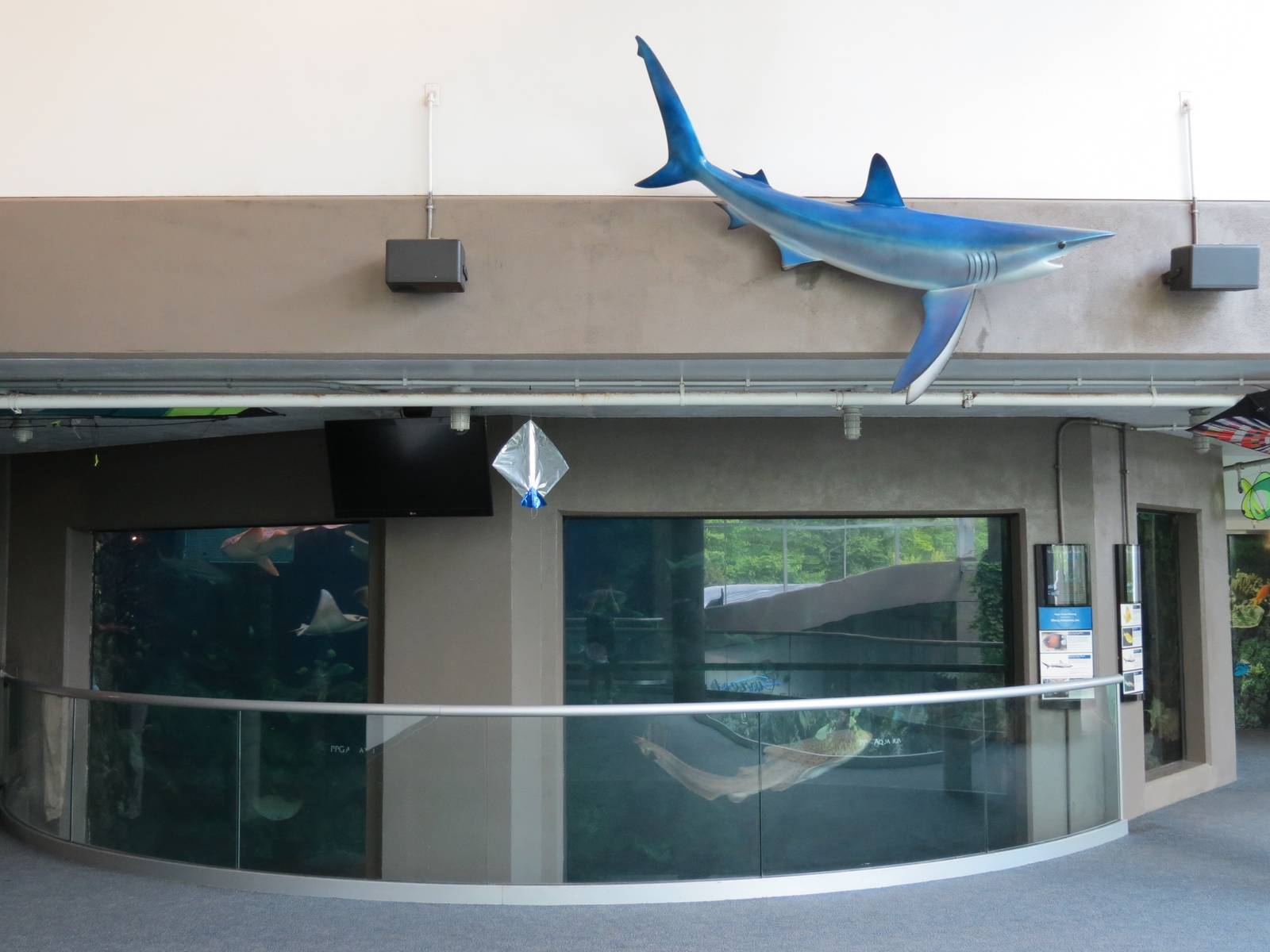PPG Aquarium - The Open Ocean - Main Tank Upper Viewing Area