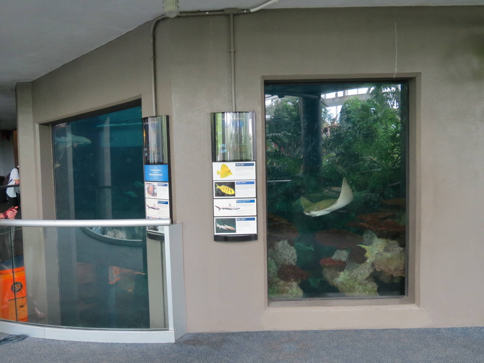 PPG Aquarium - The Open Ocean - Main Tank Upper Viewing Area