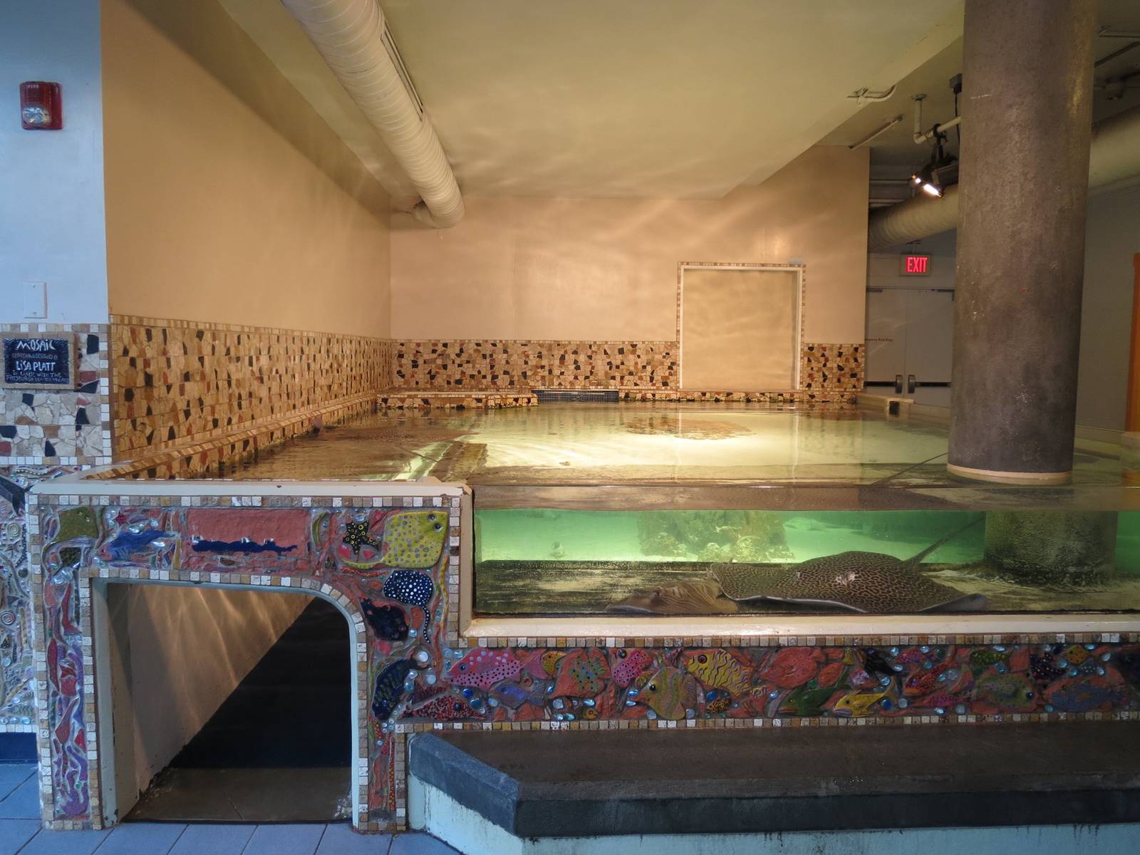 PPG Aquarium - The Open Ocean - Ray Exhibit