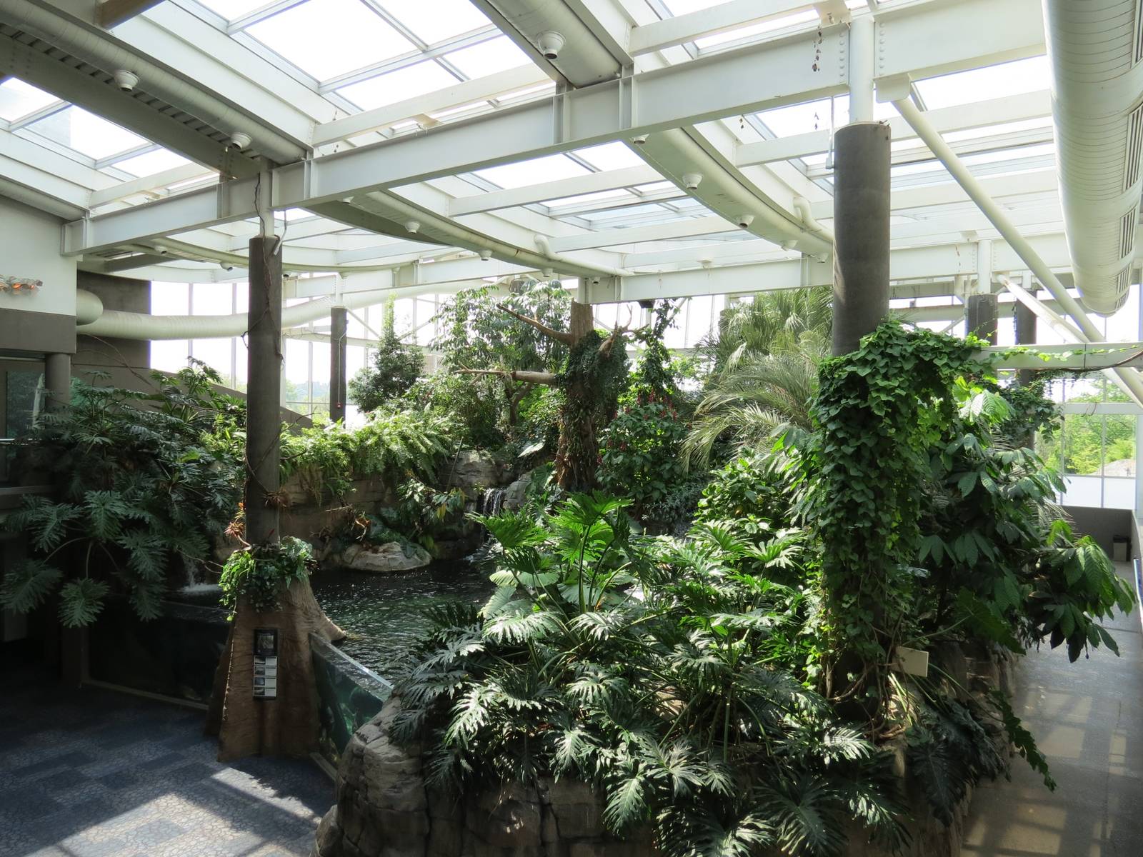 PPG Aquarium - Tropical Freshwater Rainforest - Overview