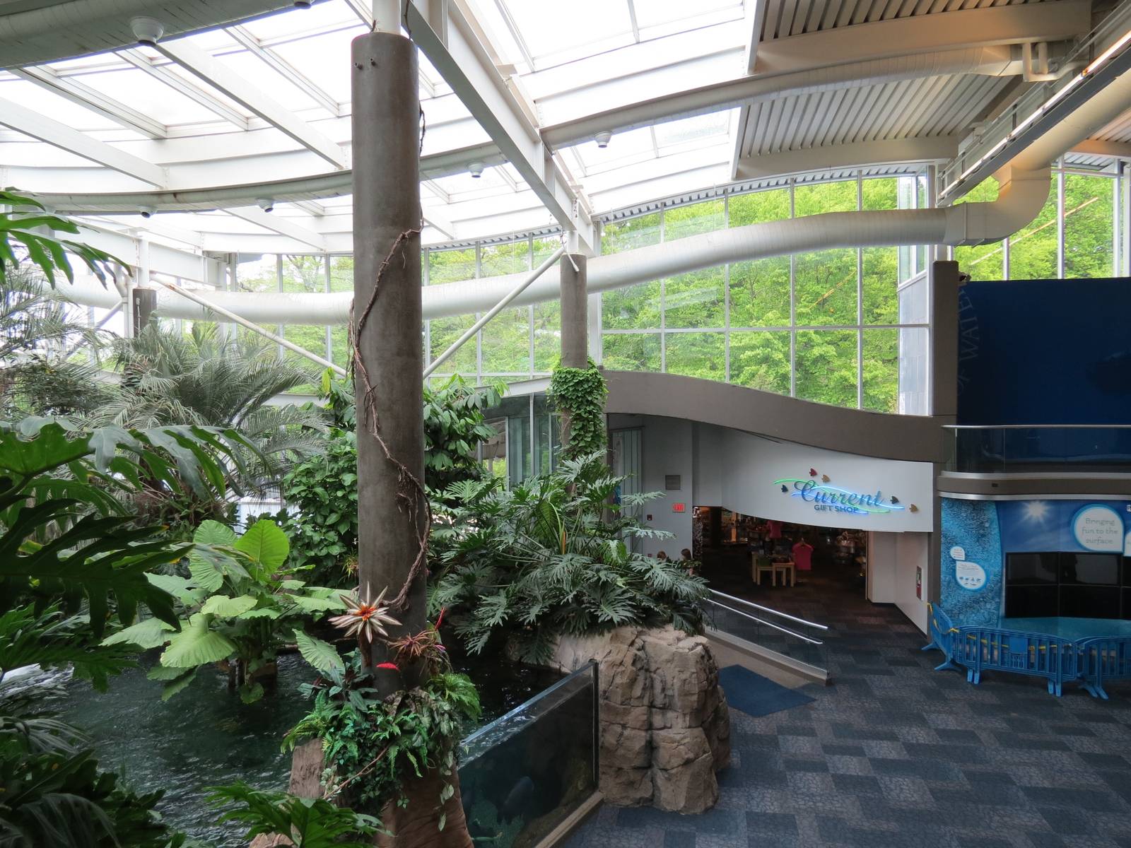PPG Aquarium - Tropical Freshwater Rainforest - Overview