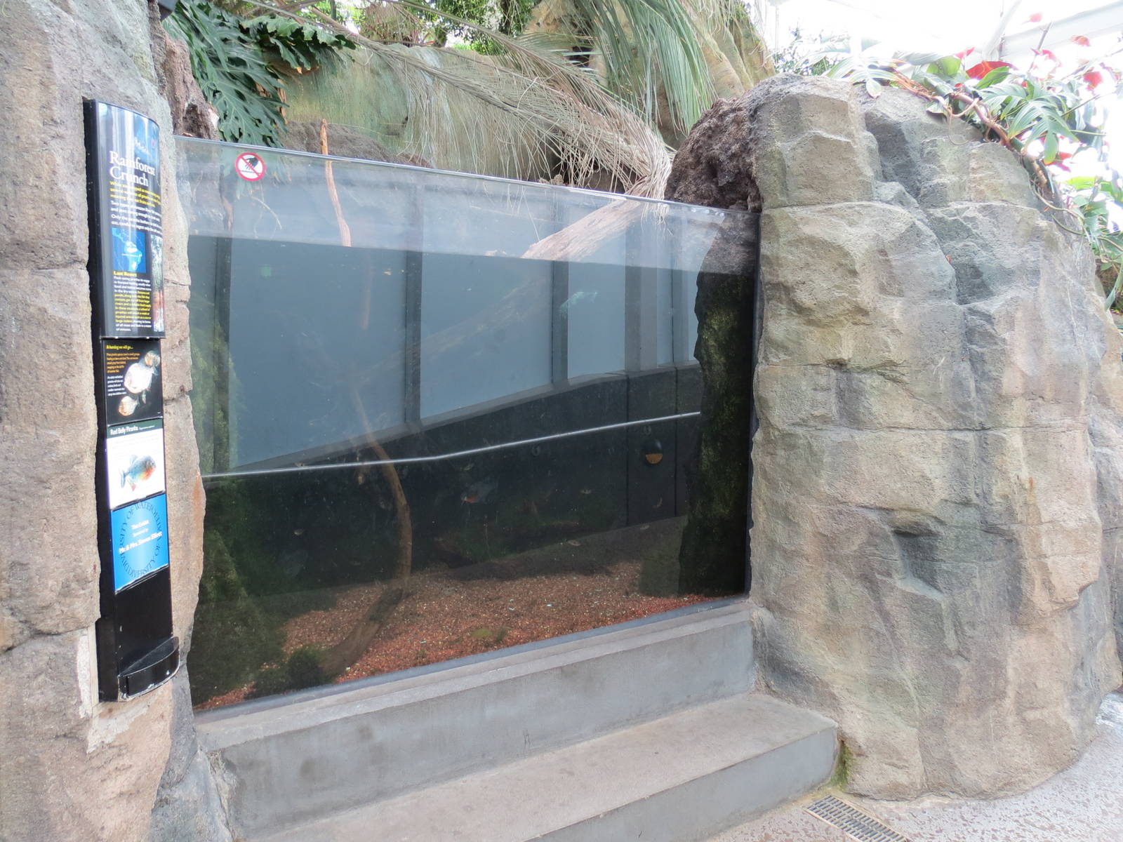 PPG Aquarium - Tropical Freshwater Rainforest - Red Belly Piranha Exhibit