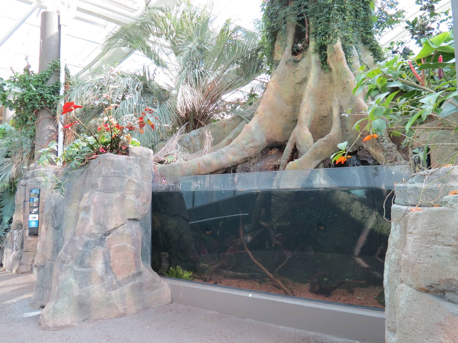 PPG Aquarium - Tropical Freshwater Rainforest - Red Discus and Others Exhib