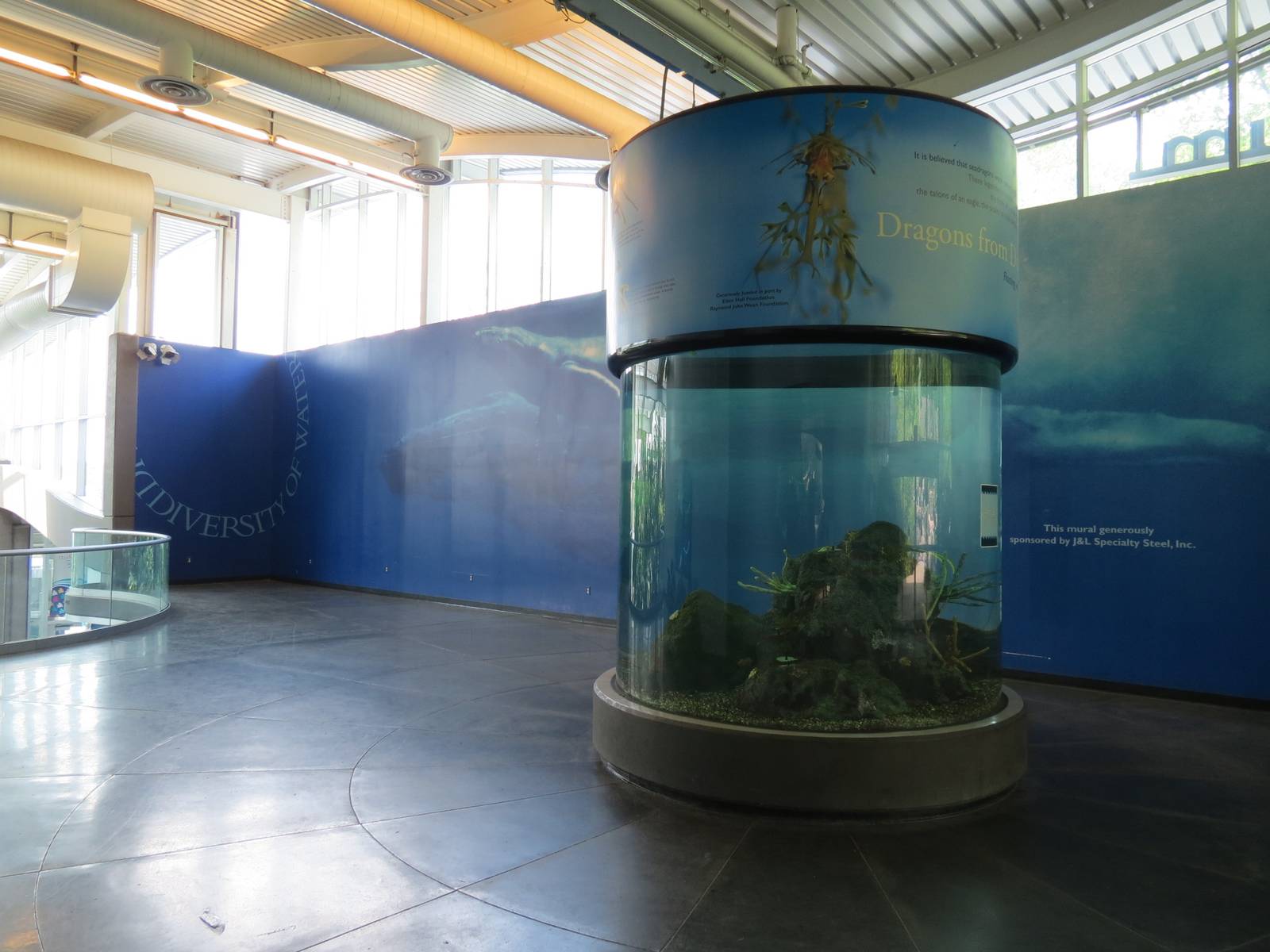 PPG Aquarium - Upper Lobby with Leafy Sea Dragon Exhibit