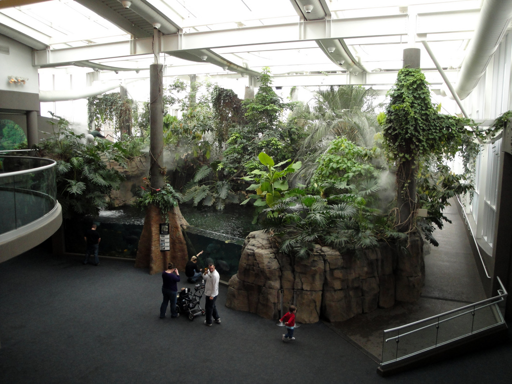 PPG Aquarium - View of the Amazon Exhibit from Second Floor