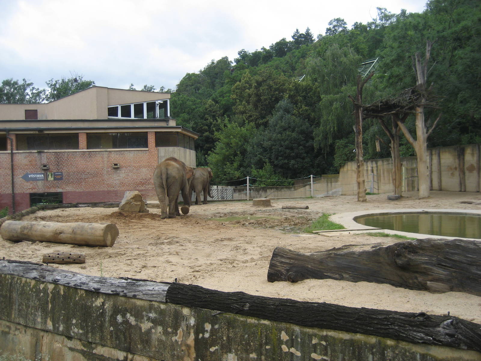 Prague Zoo - Elephant exhibit