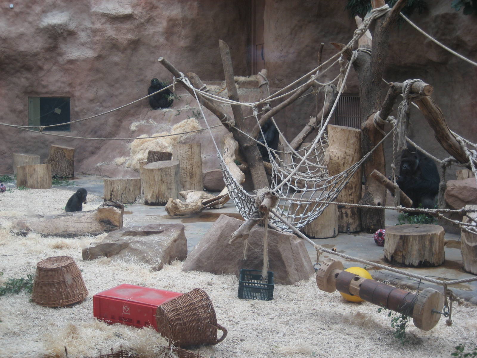 Prague Zoo - Gorilla indoor exhibit