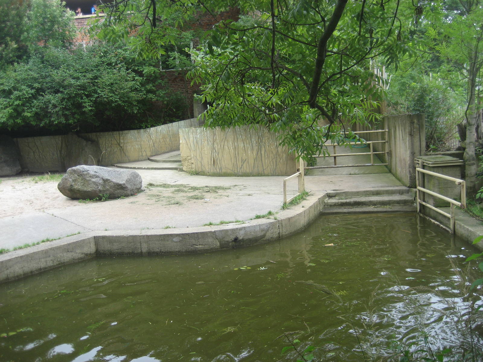 Prague Zoo - Hippo exhibit
