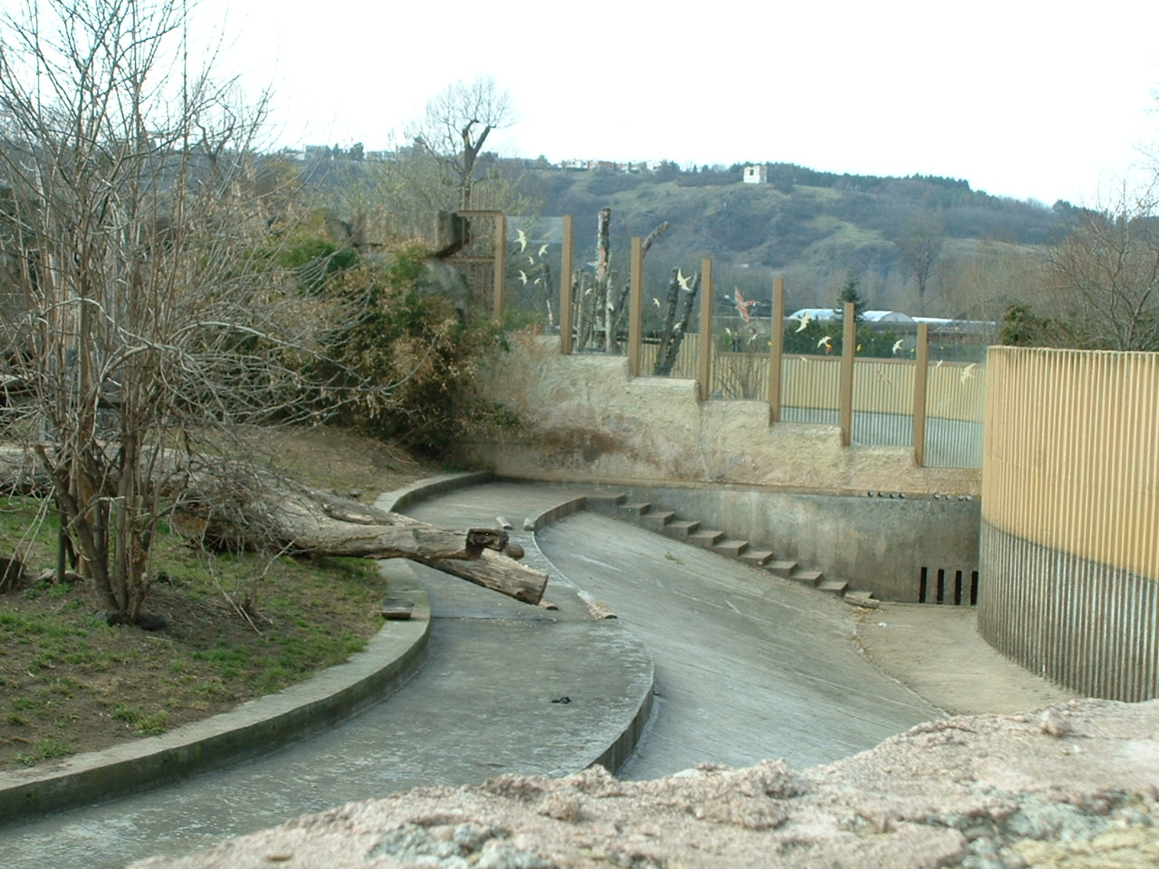 Prague Zoo - March 2011