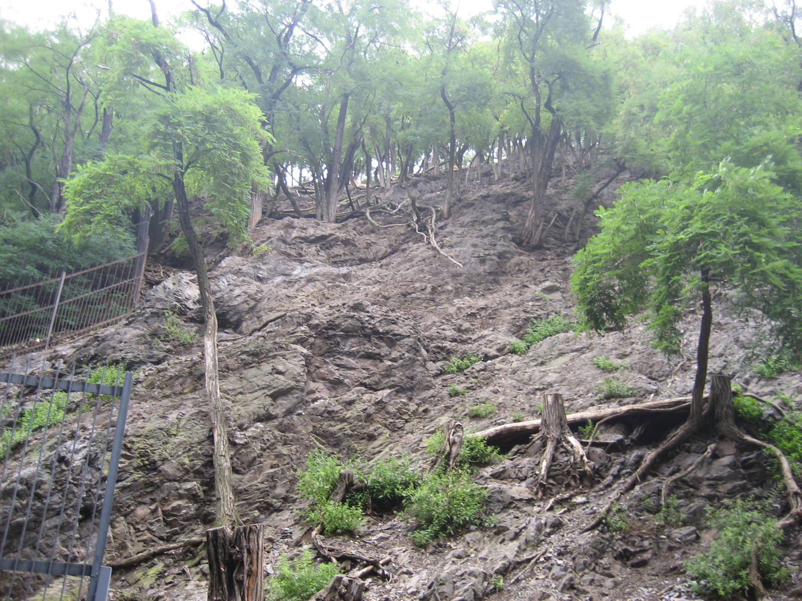 Prague Zoo - Mountain animals