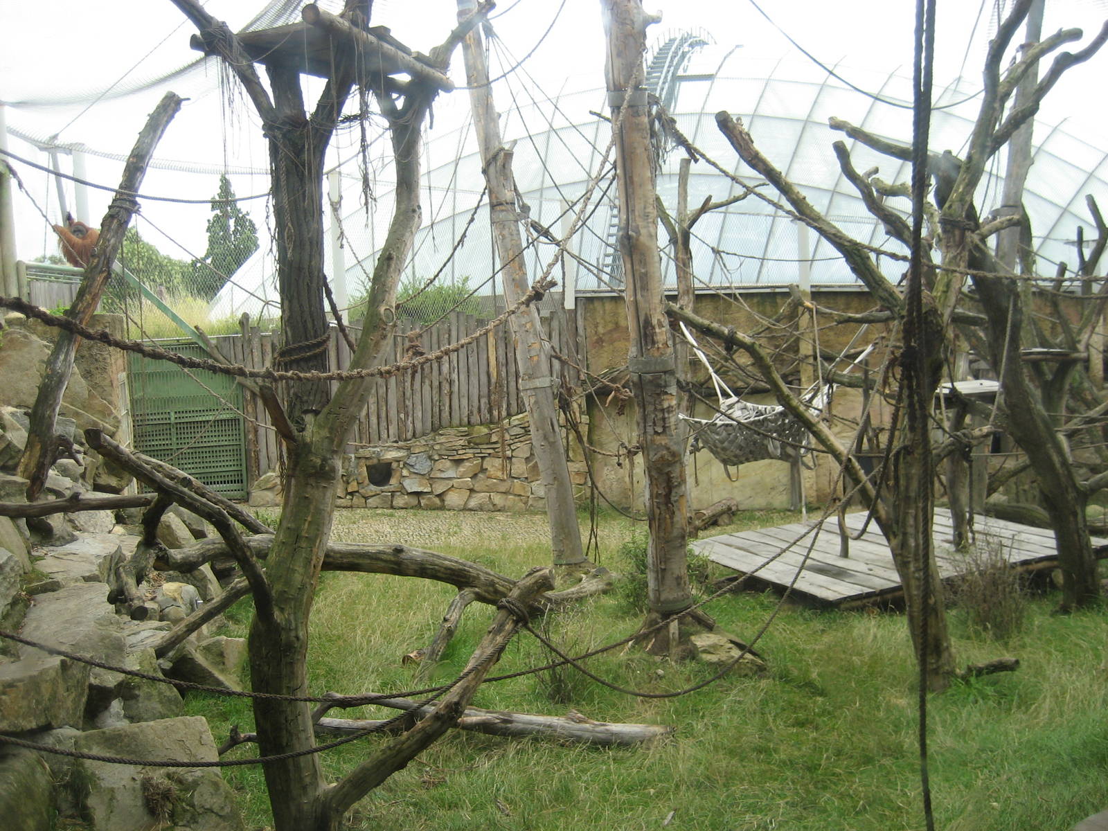 Prague Zoo - Orangutan exhibit