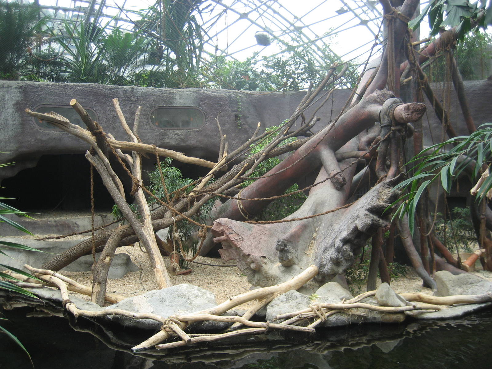 Prague Zoo - Orangutan indoor exhibit