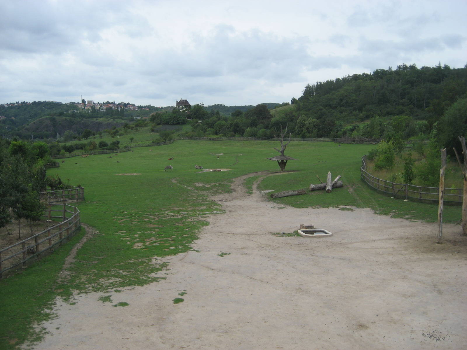 Prague Zoo - Savannah