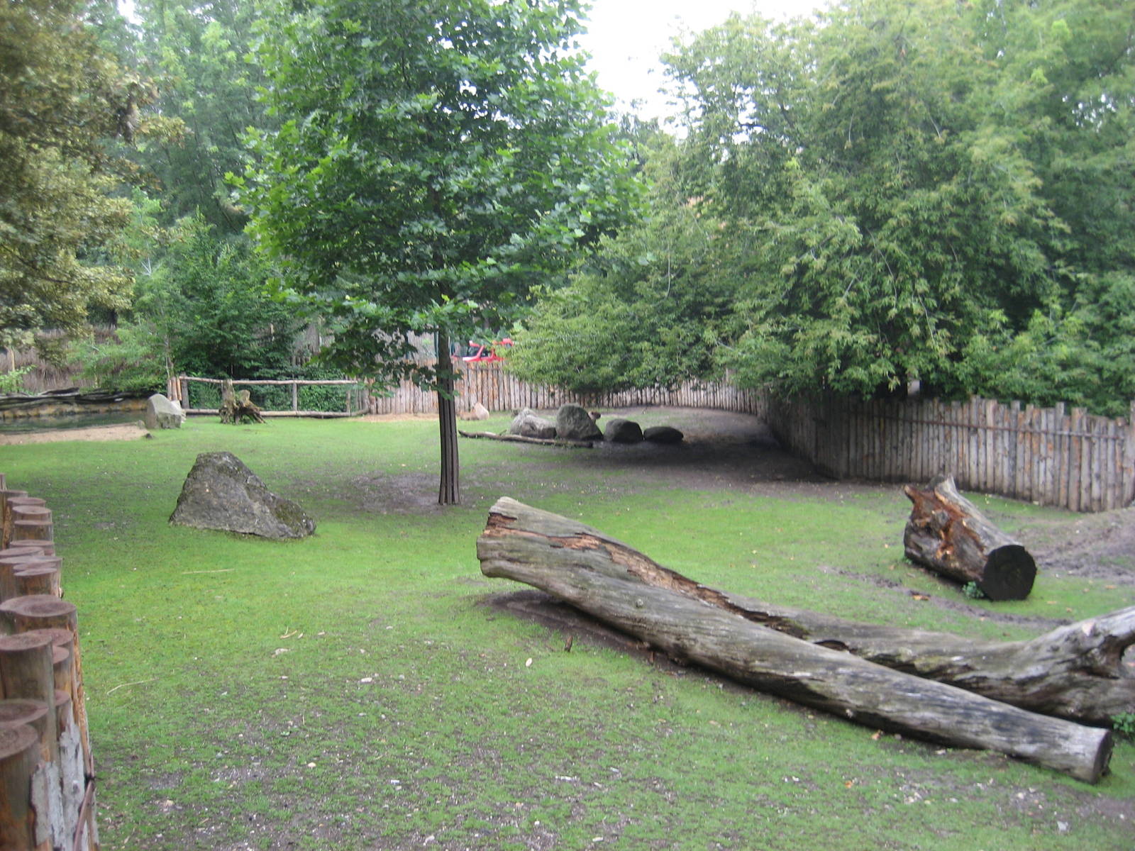 Prague Zoo - Tapir/capybara exhibit