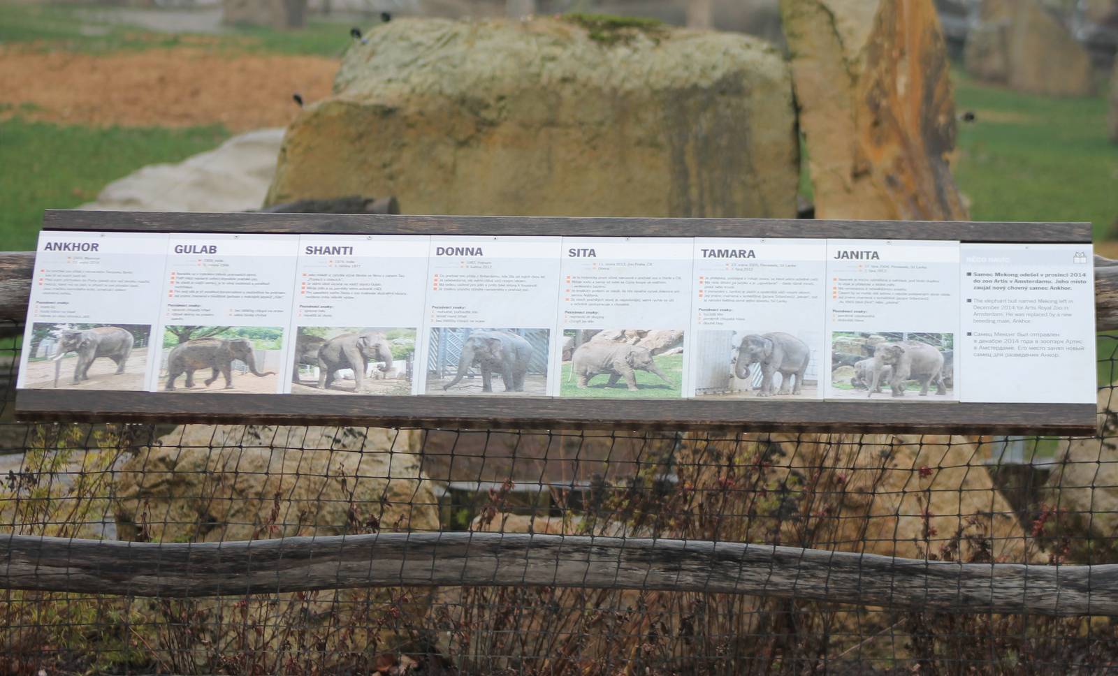 Prague's elephant ID's