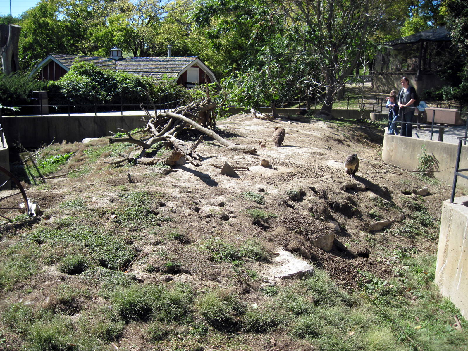 Praire Dog/Turkey Vulture Exhibit