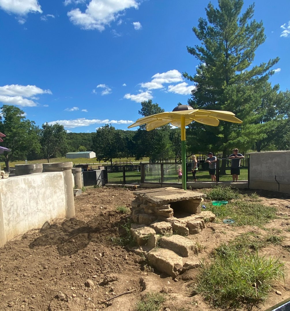 Prairie- American badger exhibit